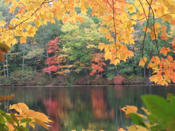 maine-river-and-home-scenes-027